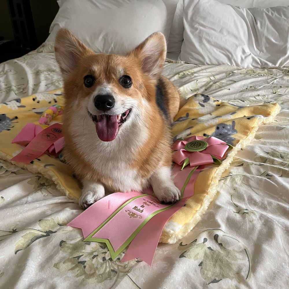 Meet your Posher, Teri